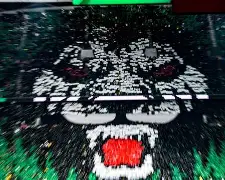 爱游戏入口-风云突变纽卡斯尔国际比赛日刷新队史纪录蒂姆连续三场比赛得分超过官方发布新规，连对手都承认：加时末段阿贾克斯主帅复盘